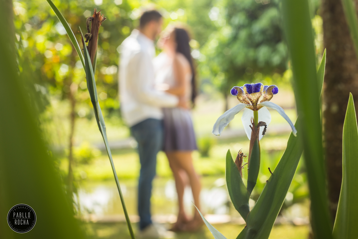 Ensaio Namorando - Ensaio Pré Casamento - PréCasamento - Parque do Sabiá - Namorando Parque do Sabiá - Pré Casamento Parque do Sabiá