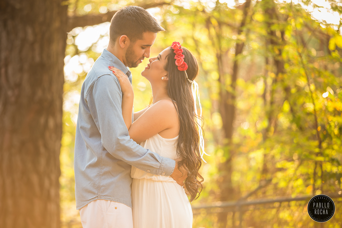 Ensaio Namorando - Ensaio Pré Casamento - PréCasamento - Parque do Sabiá - Namorando Parque do Sabiá - Pré Casamento Parque do Sabiá - por do sol
