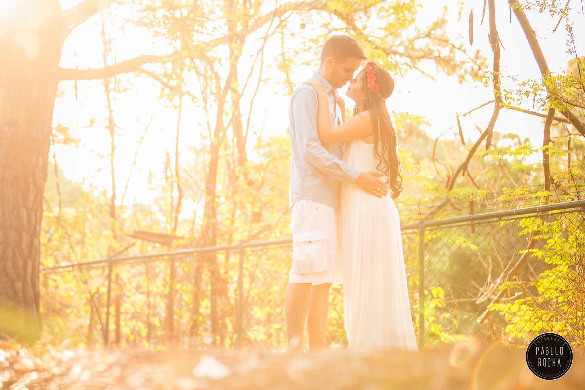 Ensaio Namorando - Ensaio Pré Casamento - PréCasamento - Parque do Sabiá - Namorando Parque do Sabiá - Pré Casamento Parque do Sabiá - por do sol