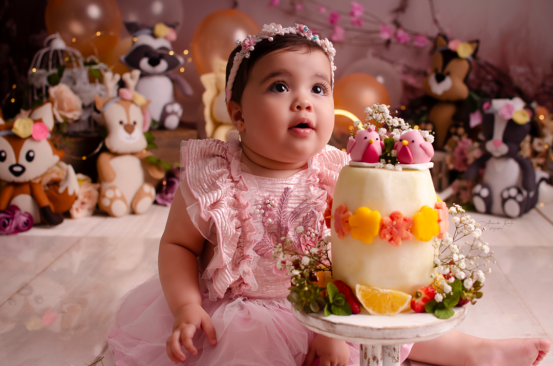 Ensaio Smash the cake realizado no Estudio especializado em Contagem/MG