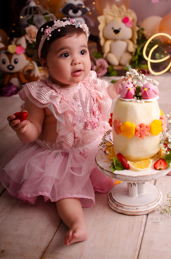 Ensaio Smash the cake realizado no Estudio especializado em Contagem/MG