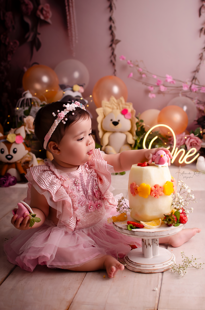 Ensaio Smash the cake realizado no Estudio especializado em Contagem/MG