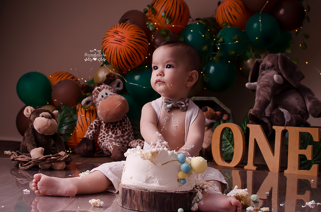 Ensaio Smash the cake - tema Safari | Contagem MG