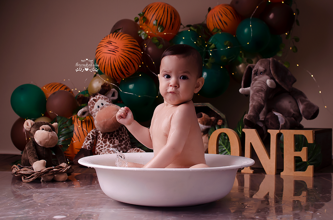 Ensaio Smash the cake - tema Safari | Contagem MG