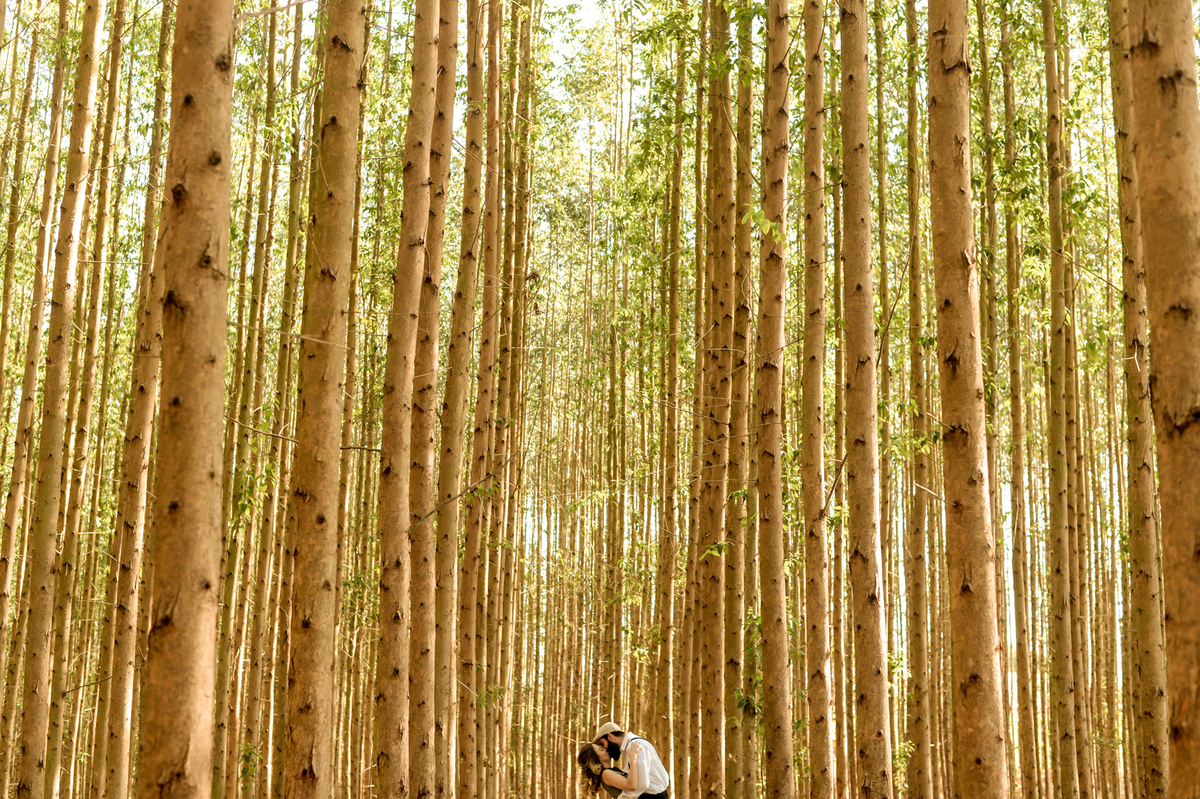 foto minimalista de pre-wedding feita na plantação de eucaliptos feito em Holambra cidade das flores 