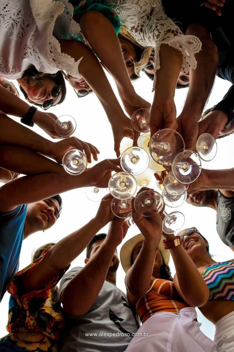 detalhes da maos dos padrinhos segurando tacas com shandon  e fazendo brinde 