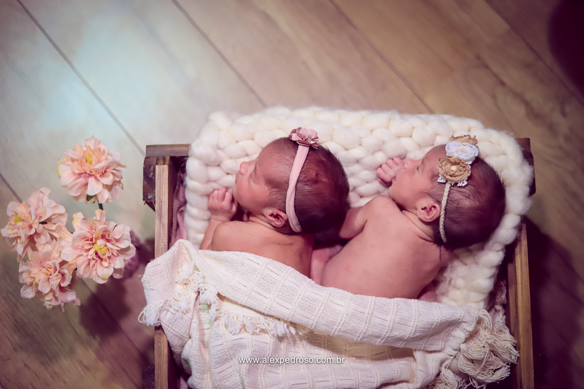 Dois bebês dormindo em um berço, sobre um cobertor sendo metade cobertas, ambas de barriga para baixo, vaso de flores do lado e um piso de madeira de fundo.