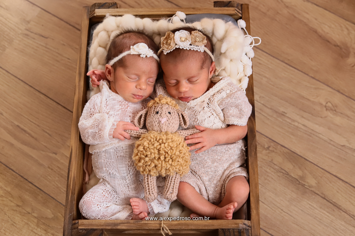Dois bebês dormindo em um berço sobre um cobertor, e ambos estão segurando um bicho de pelúcia, usando roupas brancas e tiaras de flor, com um piso de madeira atrás