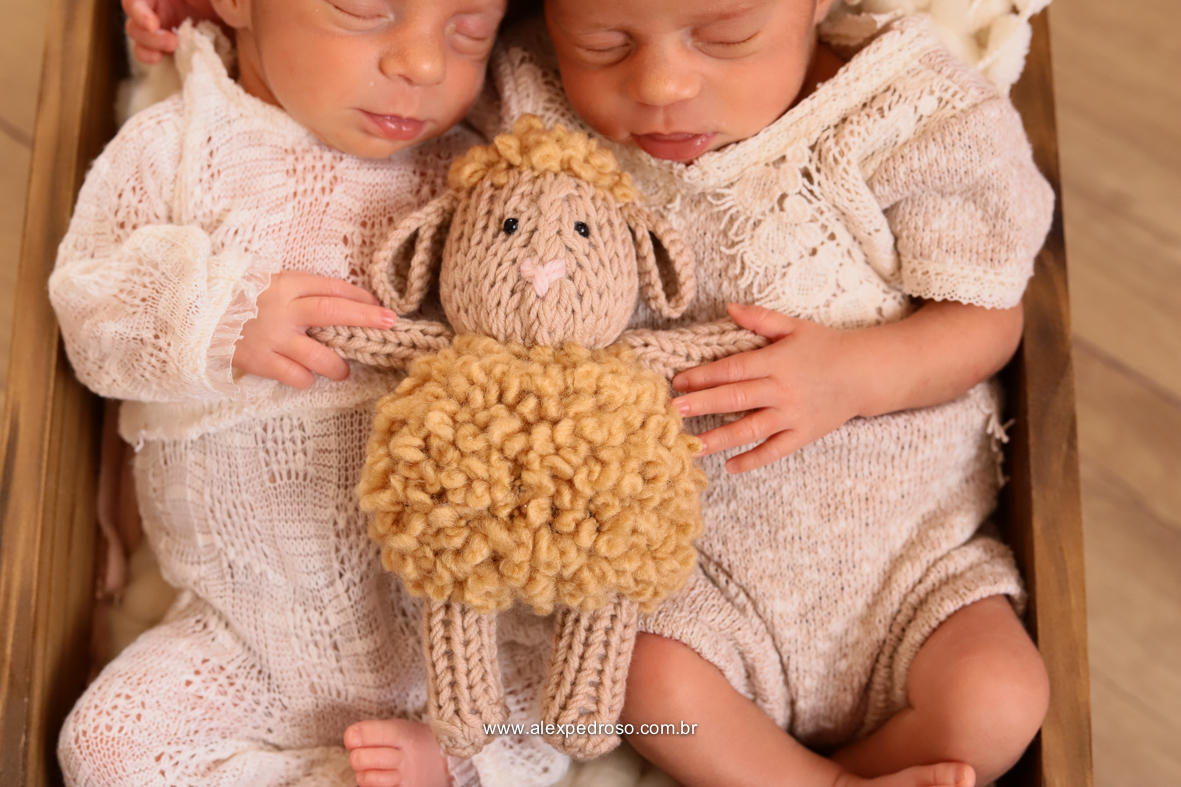 Dois bebês dormindo em um berço sobre um cobertor, e ambos estão segurando um bicho de pelúcia, usando roupas brancas e tiaras de flor, com um piso de madeira atrás, foto ampliada para ver os detalhes.
