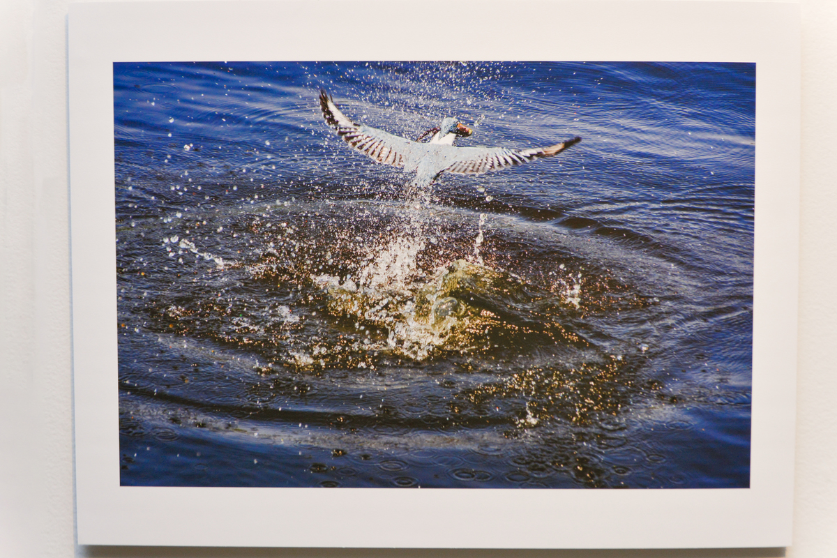 Festival Mês da Fotografia