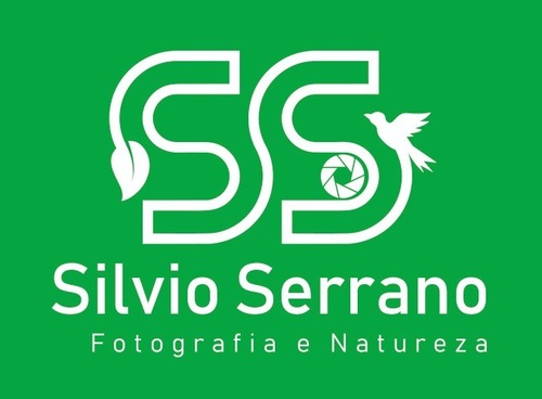 Logotipo de silvio renato serrano vieira