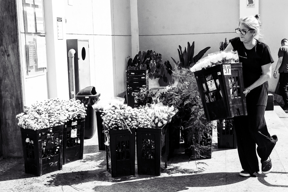 cobertura fotográfica, decor, decoração, decoração de igreja, decoradora, emily fanti, flores, florista, flowers, fotografia de casamento, fotografia de flores, montagem de decoração, noivas, rosas, foto de flores, decoração de casamento, decor casamento