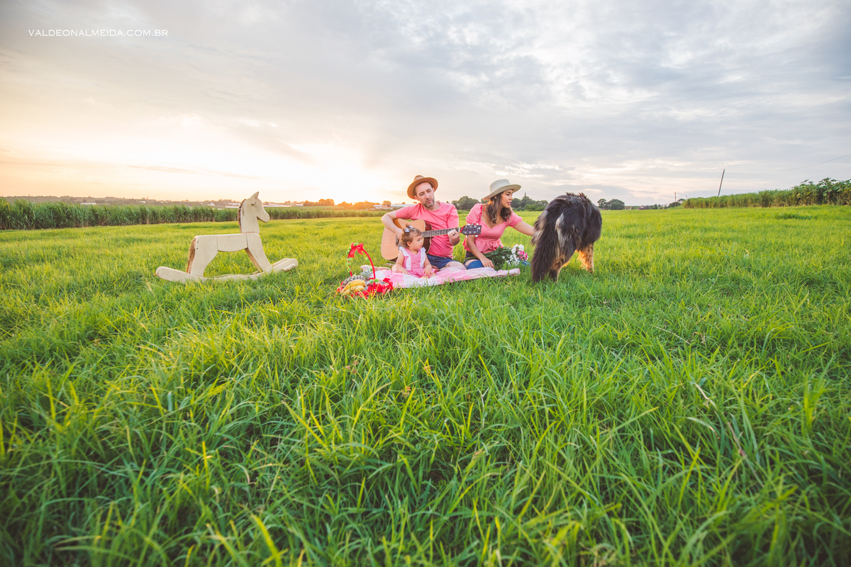 Ensaio de família com bebe ao ar livre em Holambra 
