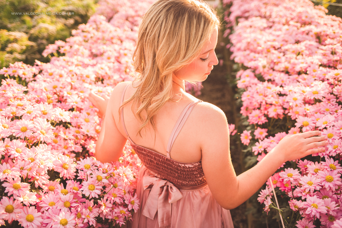 Ensaio fotográfico de 16 anos da Sara em Holambra