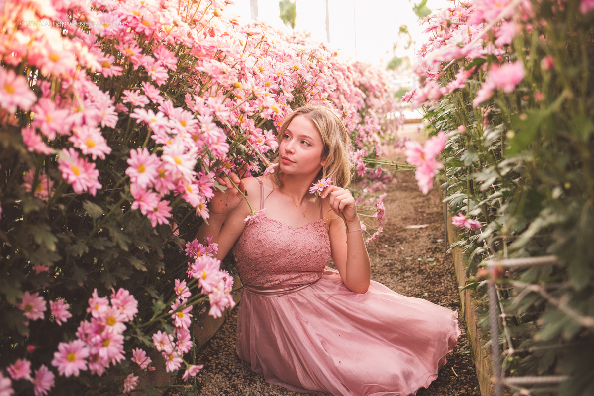 Ensaio fotográfico de 16 anos da Sara em Holambra