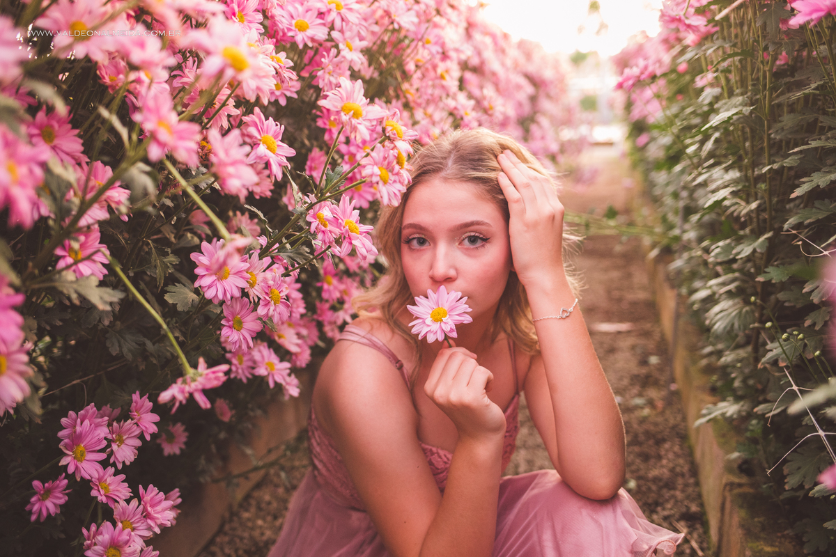 Ensaio fotográfico de 16 anos da Sara em Holambra