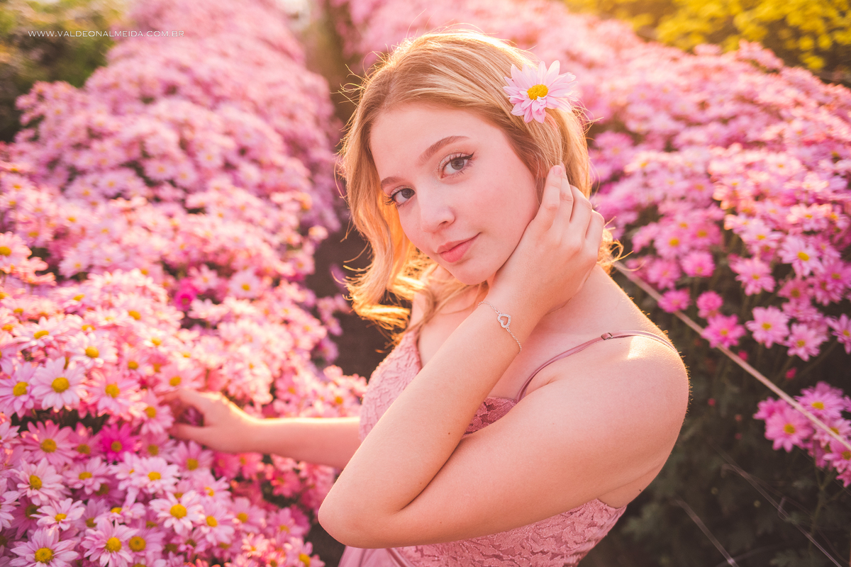 Ensaio fotográfico de 16 anos da Sara em Holambra