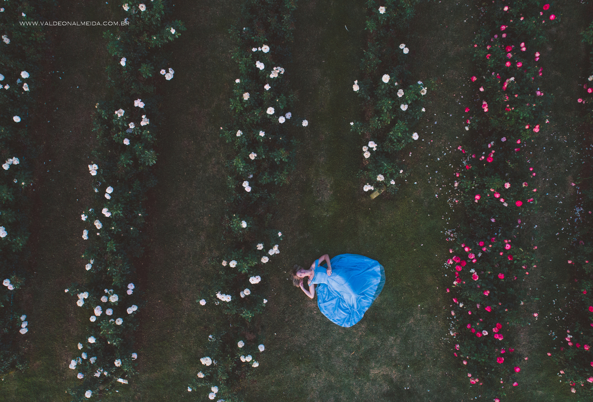 Ensaio fotográfico de 16 anos da Sara em Holambra