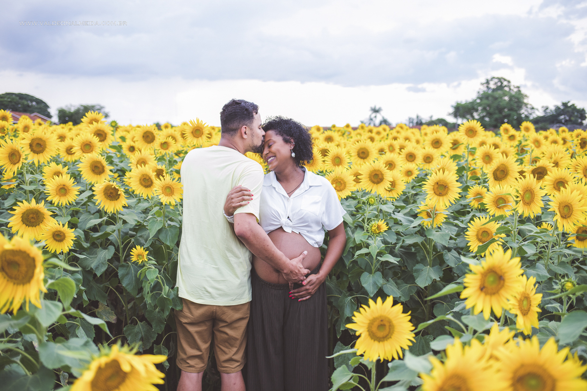 Ensaio de gestante na plantação de girassol em Holambra