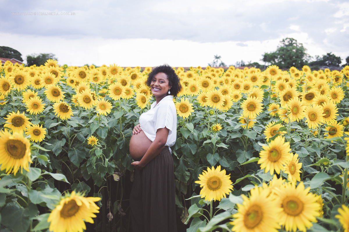 Ensaio de gestante na plantação de girassol em Holambra