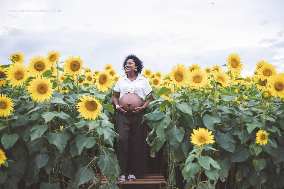 Ensaio de gestante na plantação de girassol em Holambra