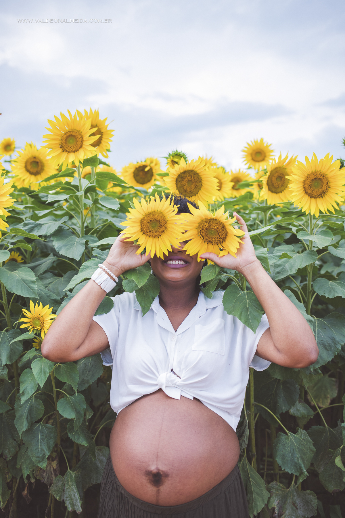 Ensaio de gestante na plantação de girassol em Holambra