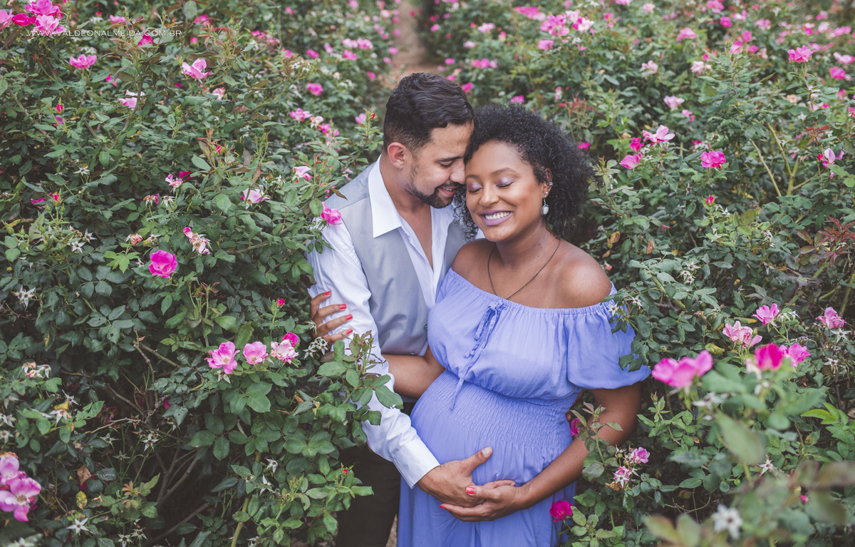 Ensaio de gestante na plantação de rosas em Holambra
