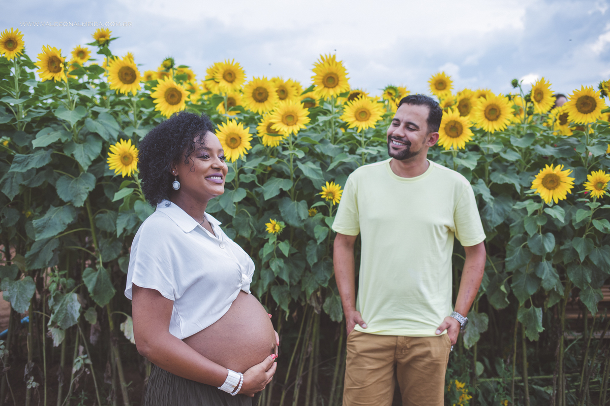 Ensaio de gestante na plantação de girassol em Holambra