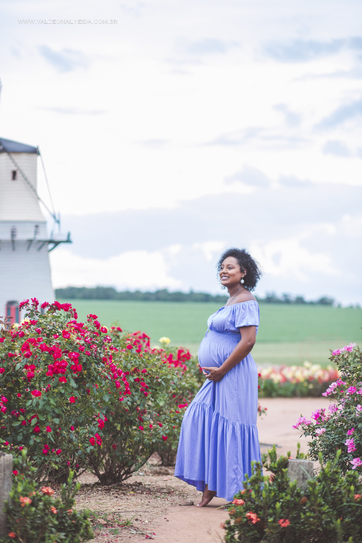 Ensaio de gestante na plantação de rosas em Holambra