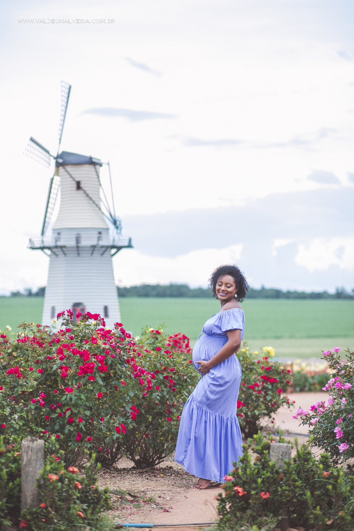 Ensaio de gestante na plantação de rosas em Holambra