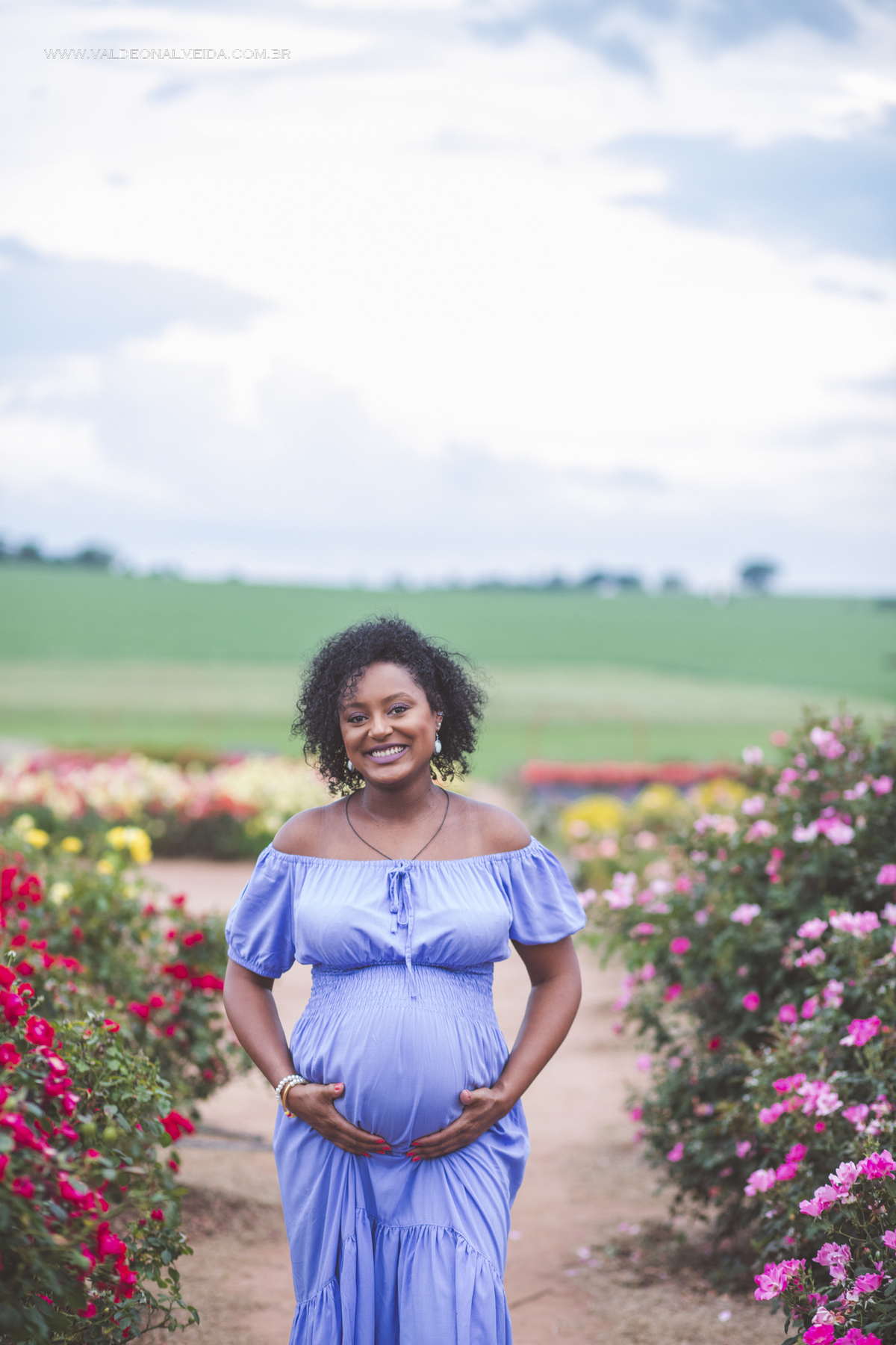 Ensaio de gestante na plantação de rosas em Holambra