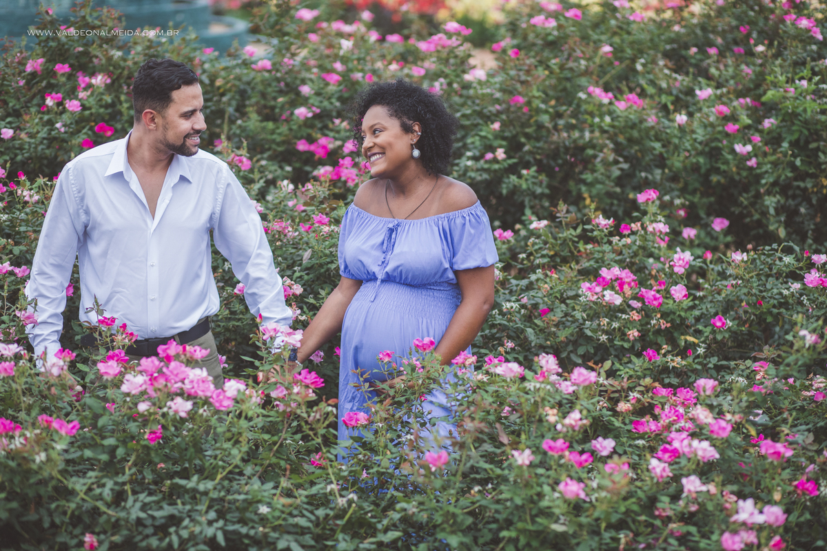 Ensaio de gestante na plantação de rosas em Holambra
