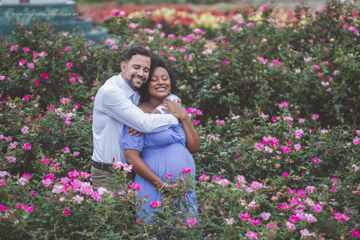 Ensaio de gestante na plantação de rosas em Holambra