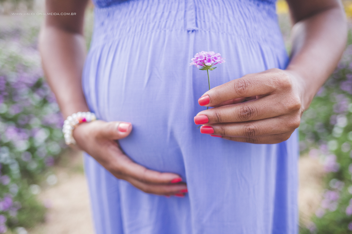 Ensaio de gestante ao ar livre em Holambra