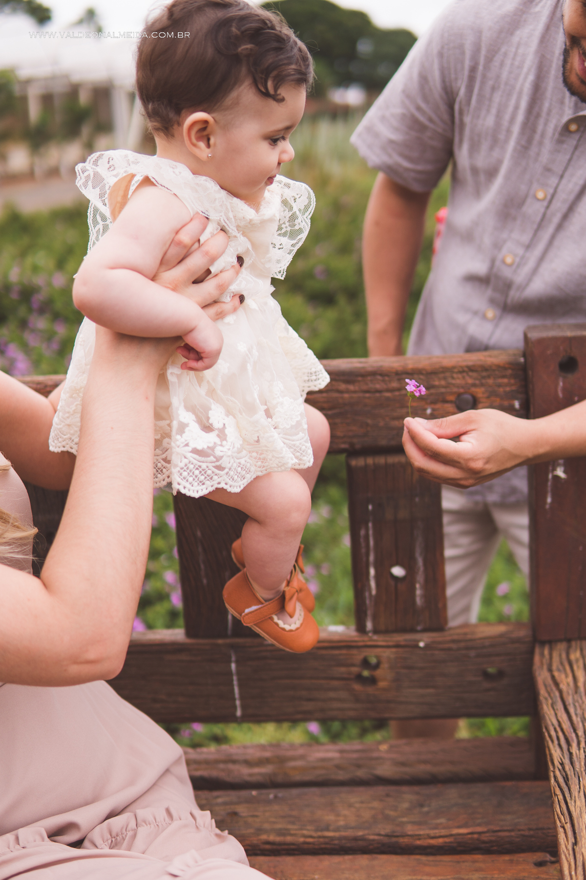 Ensaio fotográfico infantil da Manu em Holambra  
