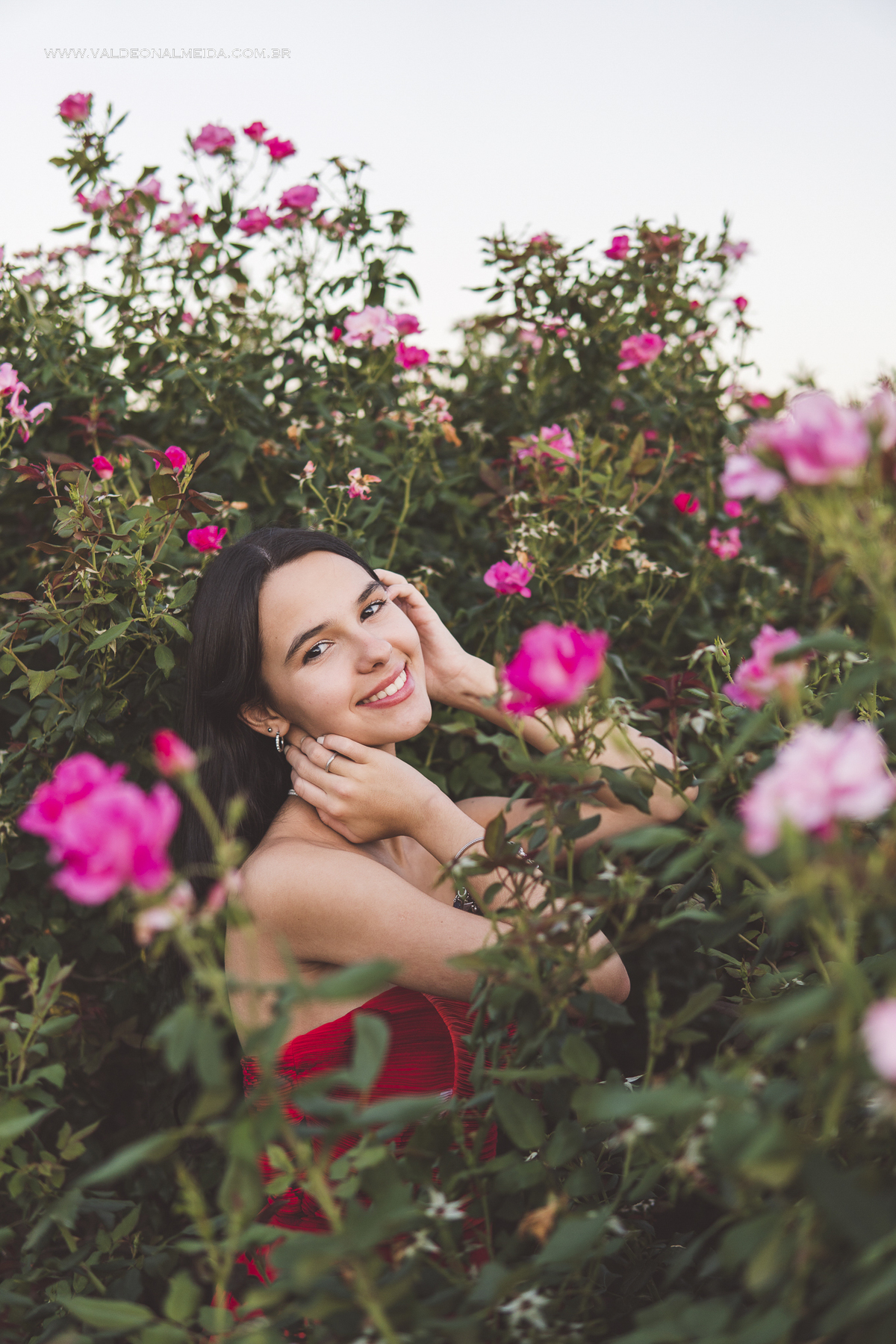 Ensaio de 15 anos da Helo nas plantações de flores em Holambra