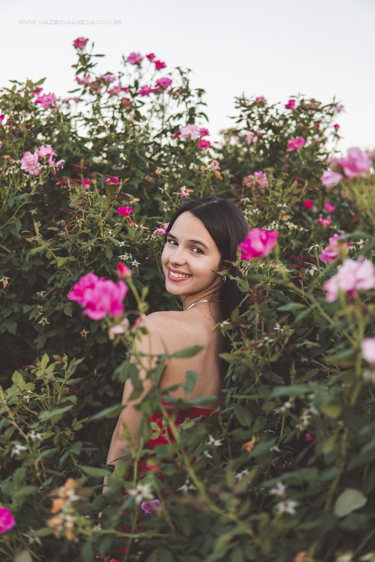 Ensaio de 15 anos da Helo nas plantações de flores em Holambra
