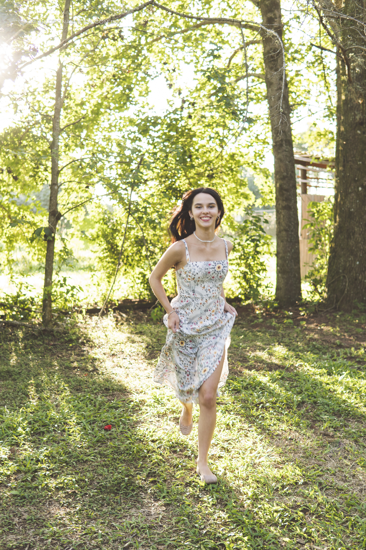 Ensaio de 15 anos da Helo nas plantações de flores em Holambra