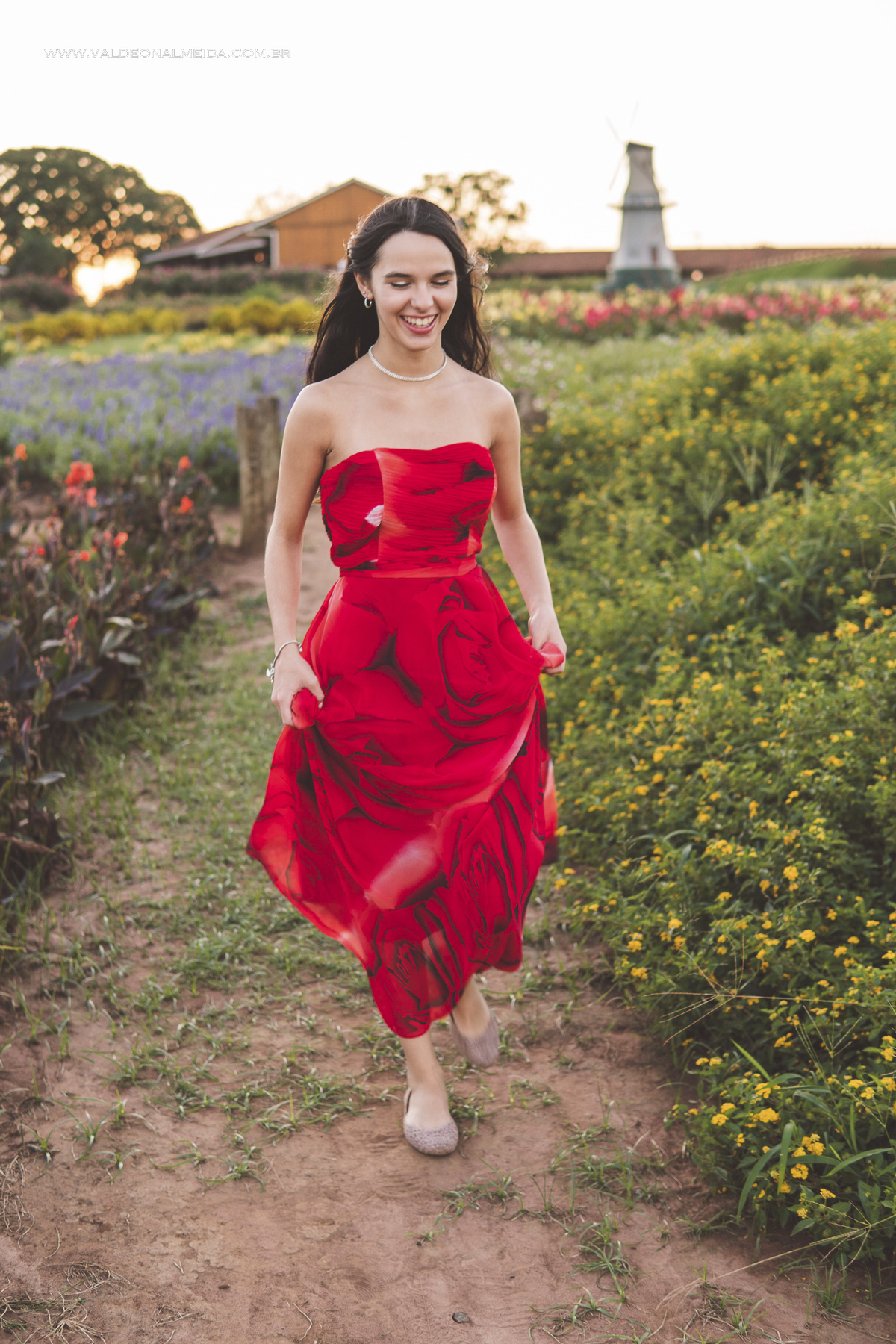 Ensaio de 15 anos da Helo nas plantações de flores em Holambra