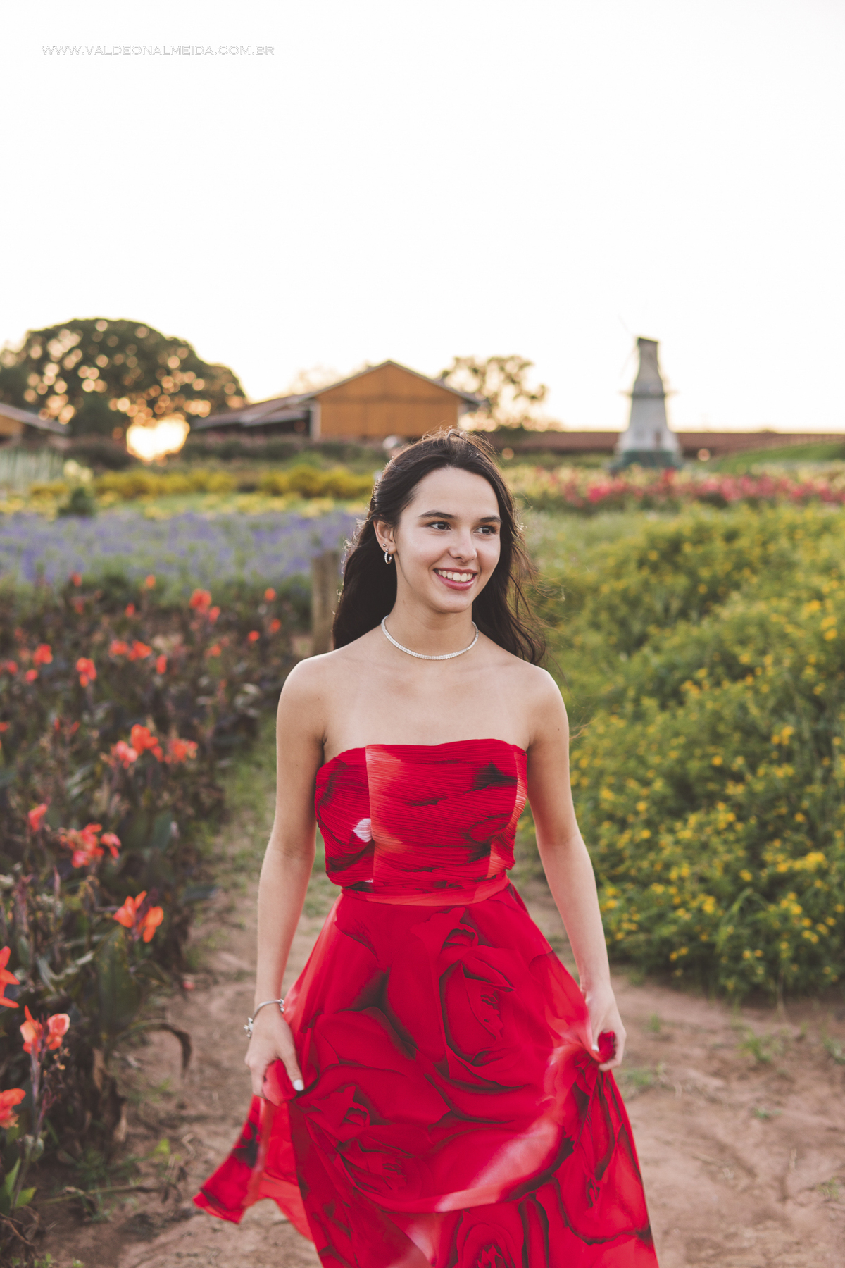 Ensaio de 15 anos da Helo nas plantações de flores em Holambra