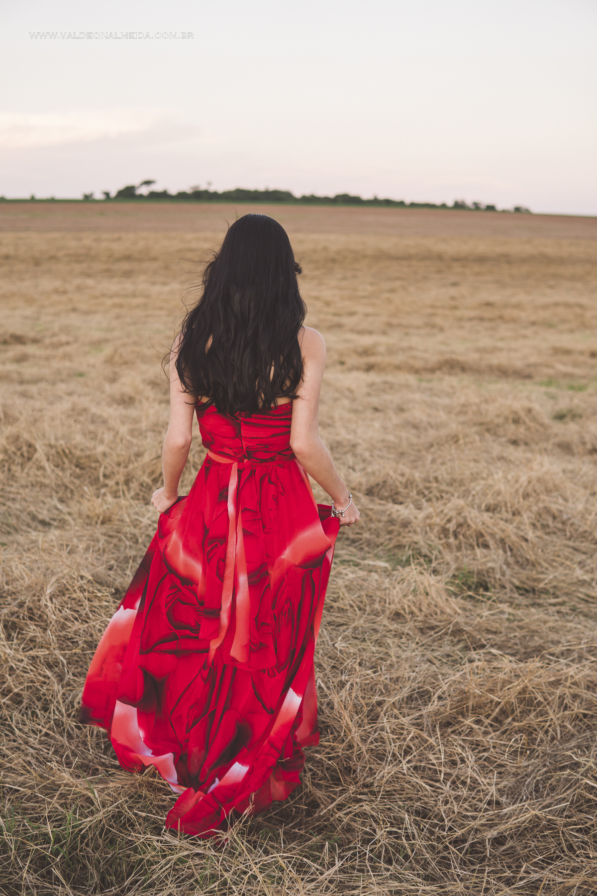 Ensaio de 15 anos da Helo nas plantações de flores em Holambra