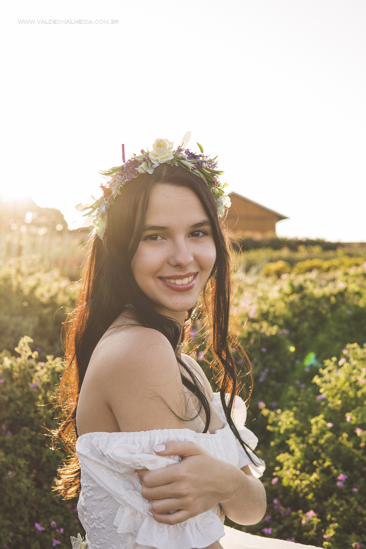 Ensaio de 15 anos da Helo nas plantações de flores em Holambra