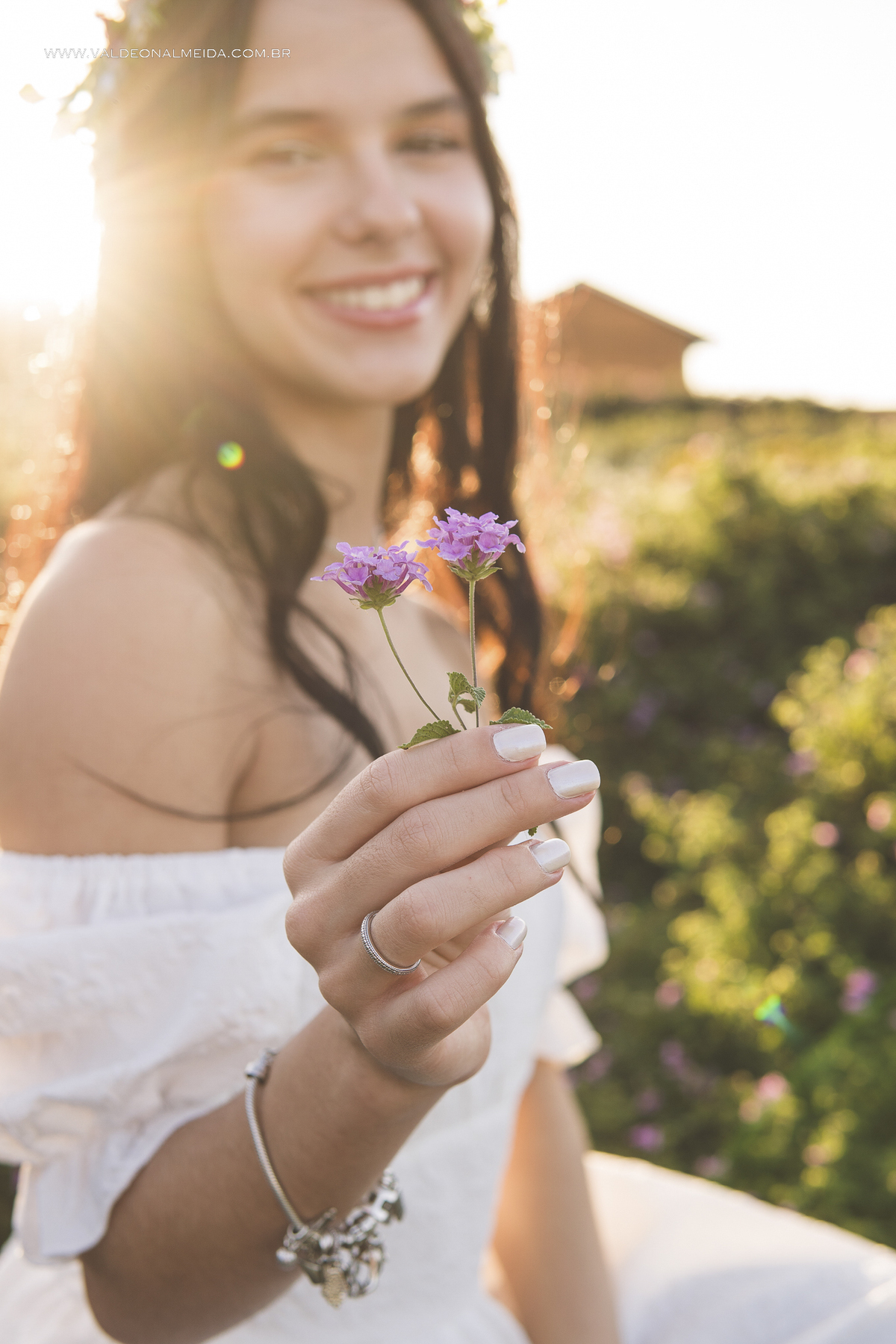 Ensaio de 15 anos da Helo nas plantações de flores em Holambra