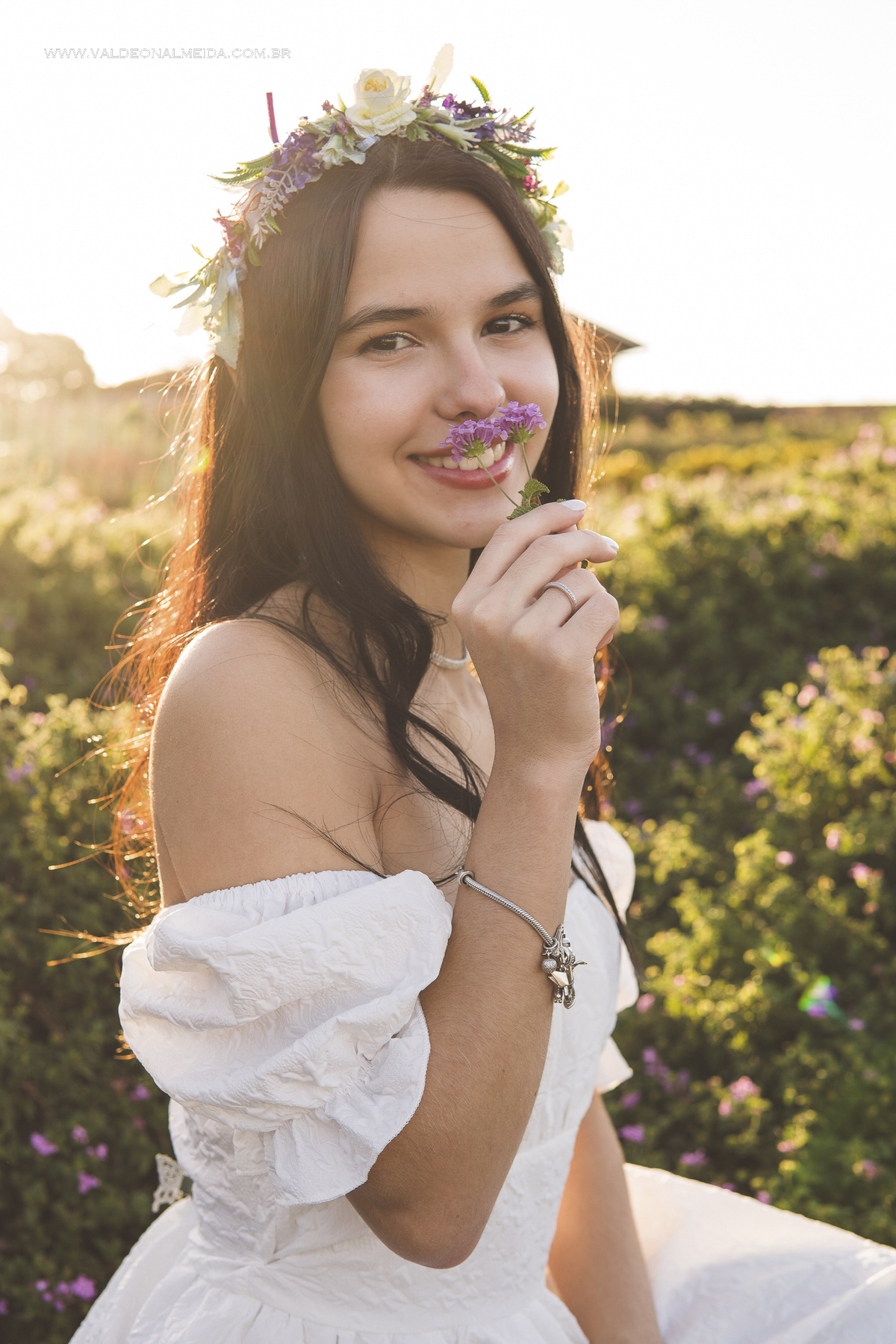 Ensaio de 15 anos da Helo nas plantações de flores em Holambra