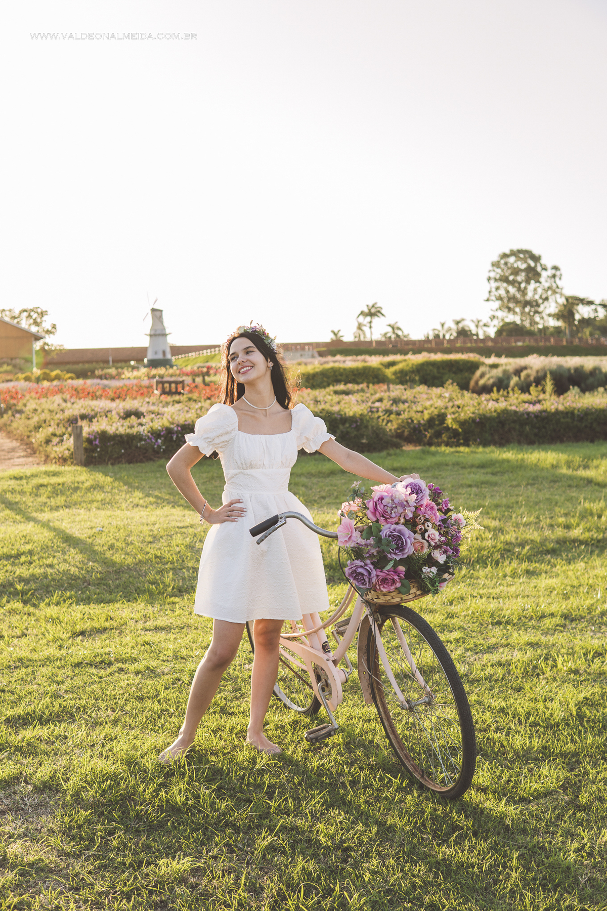 Ensaio de 15 anos da Helo nas plantações de flores em Holambra