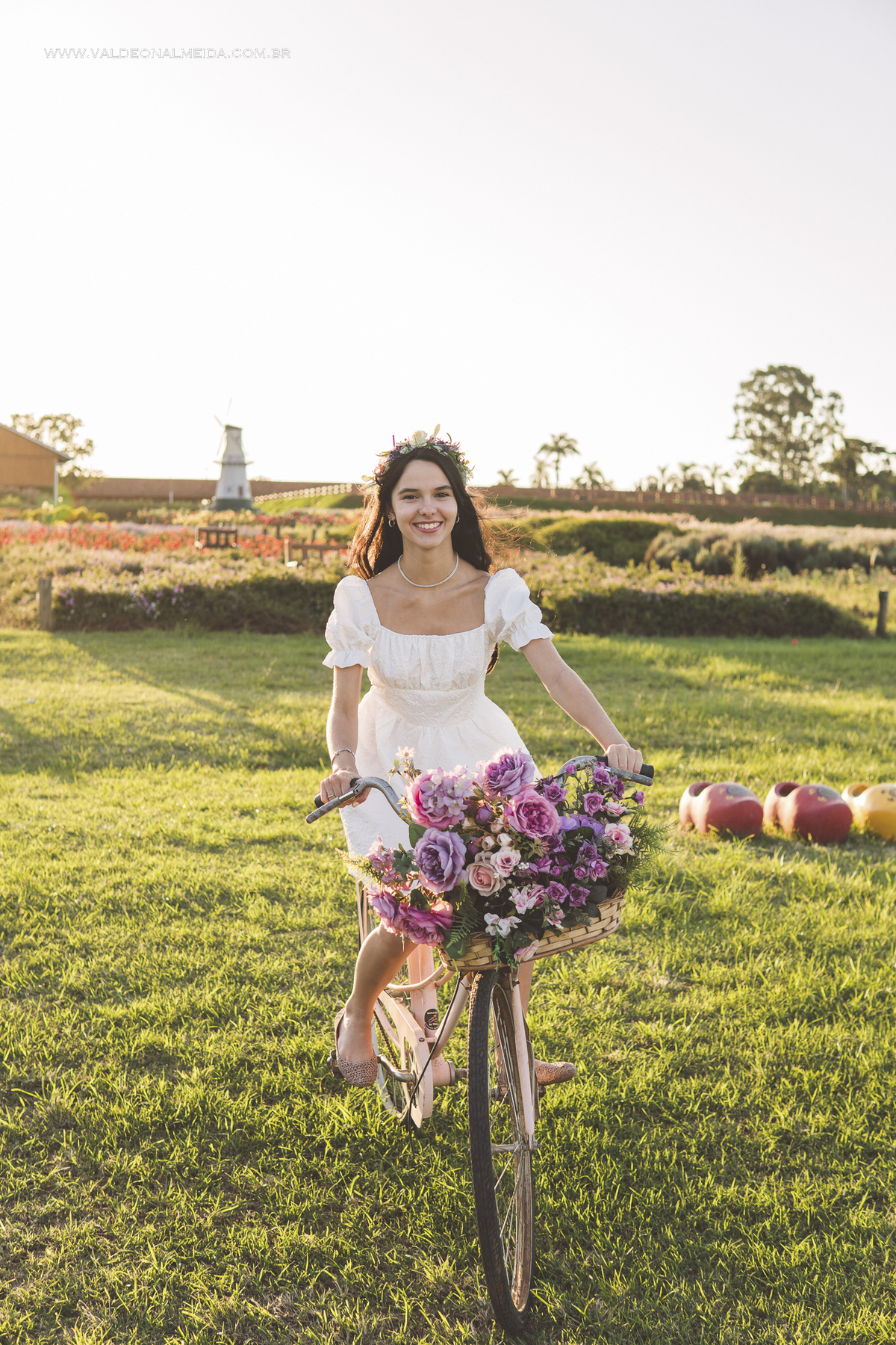 Ensaio de 15 anos da Helo nas plantações de flores em Holambra