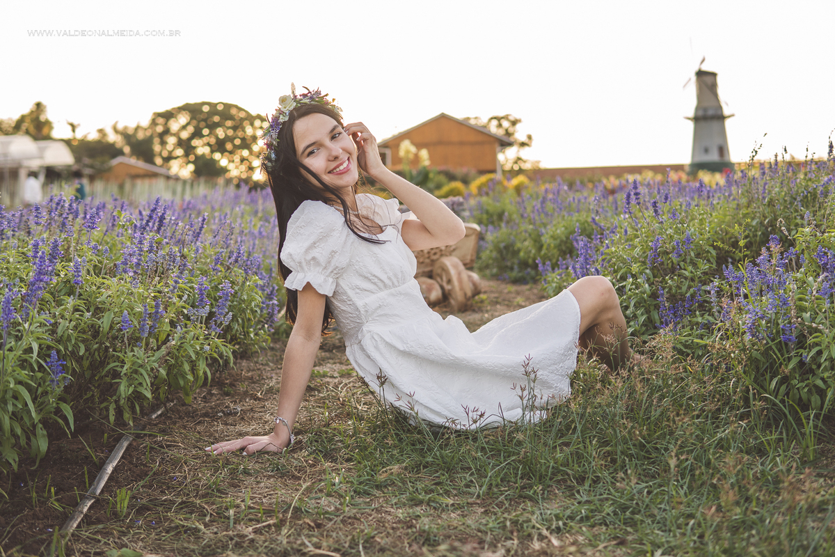 Ensaio de 15 anos da Helo nas plantações de flores em Holambra