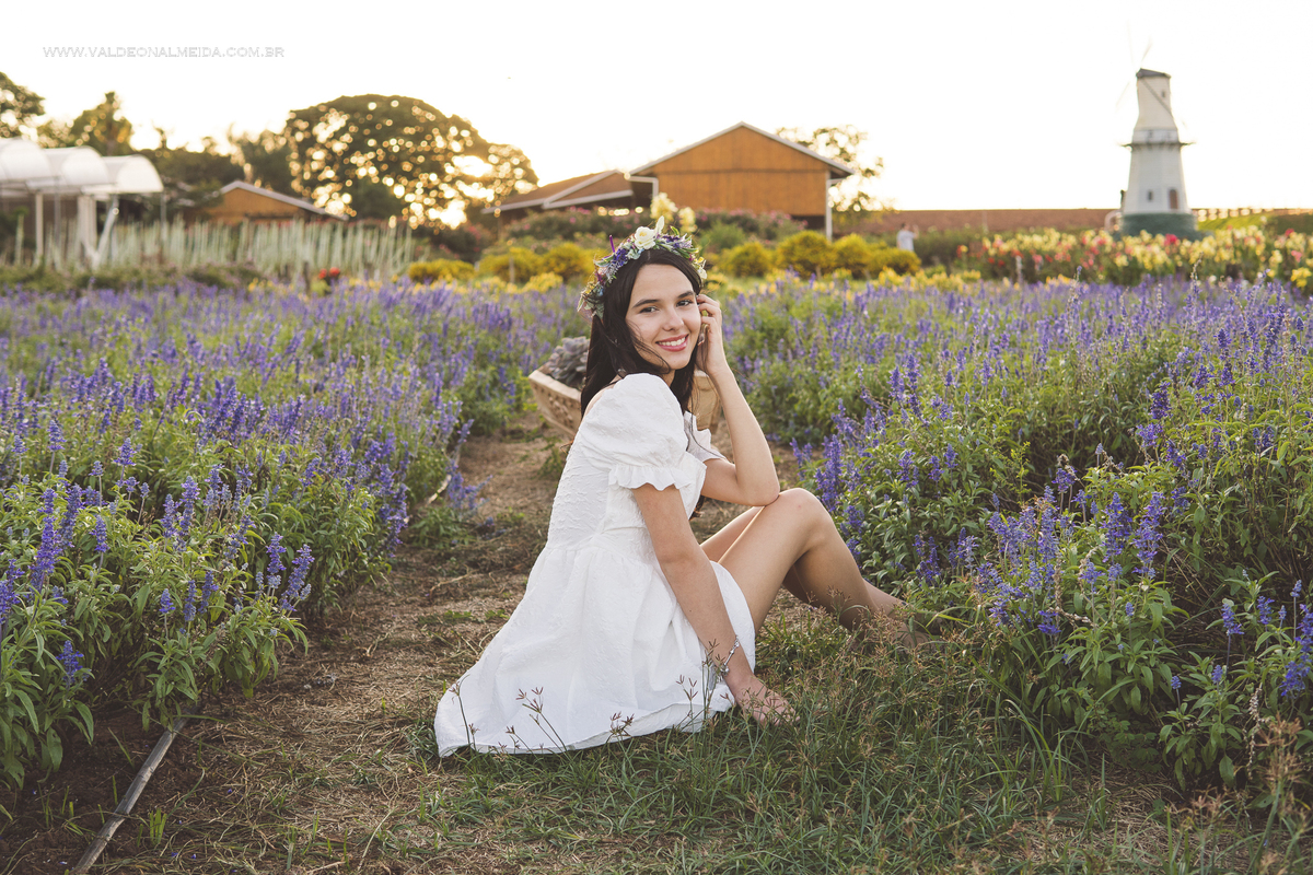 Ensaio de 15 anos da Helo nas plantações de flores em Holambra