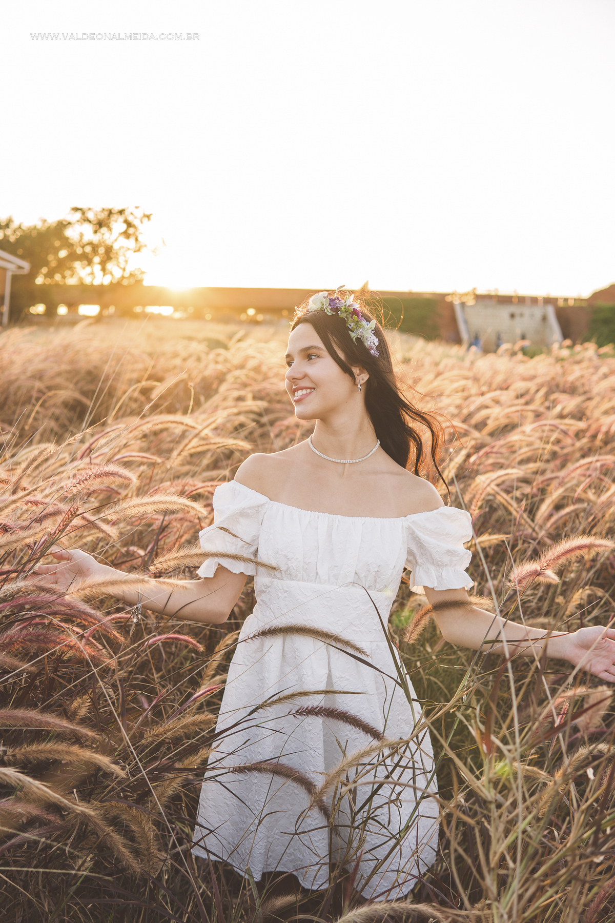 Ensaio de 15 anos da Helo nas plantações de flores em Holambra