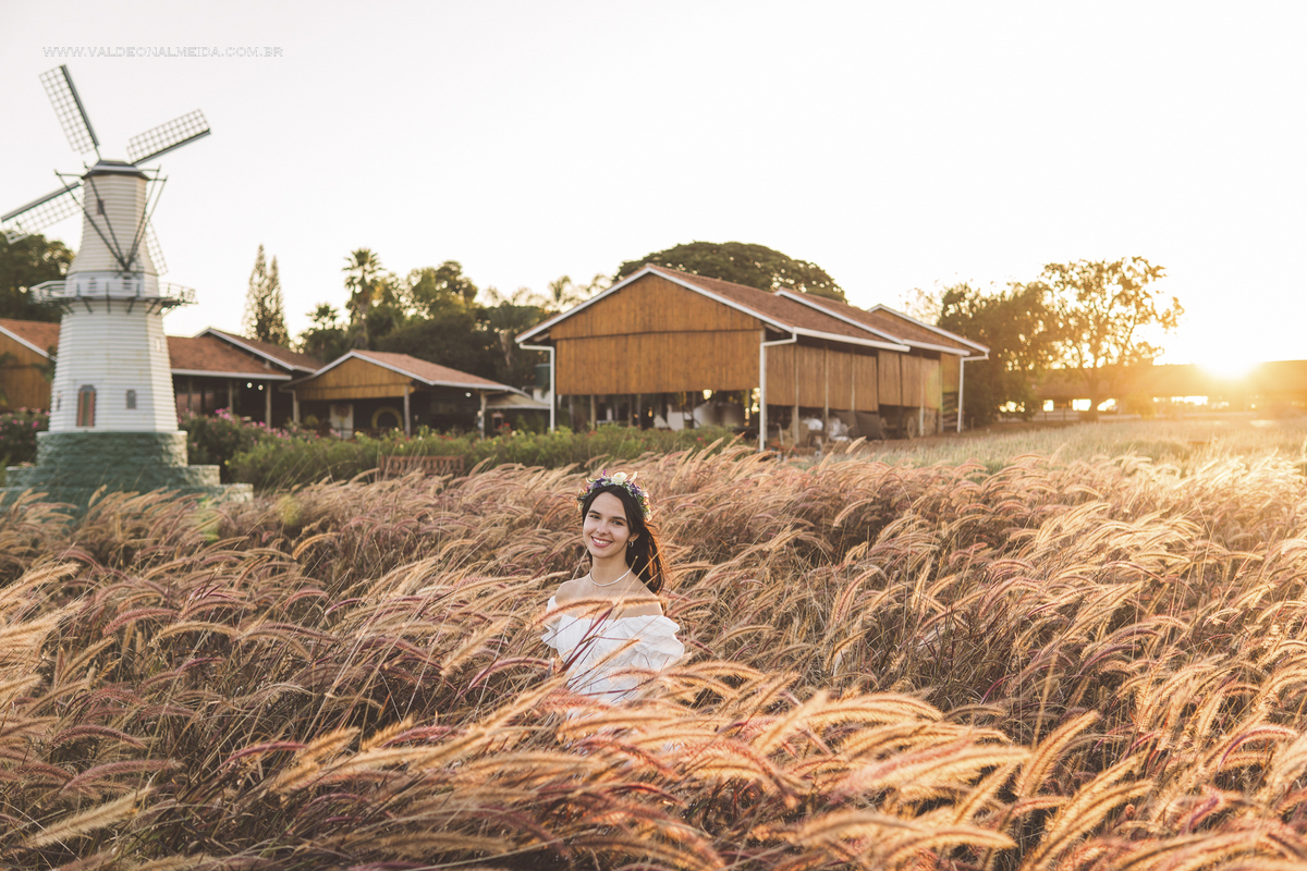 Ensaio de 15 anos da Helo nas plantações de flores em Holambra